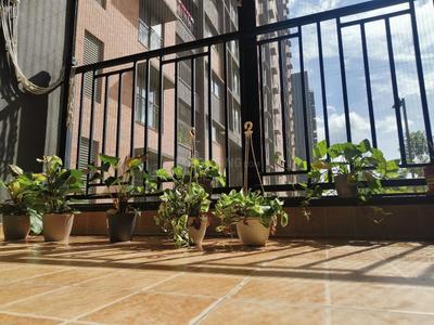 Balcony Image of 1900 Sq.ft 3 BHK Apartment / Flat for rent in Sobha HRC Pristine, Jakkur Bengaluru for Rs. 75000