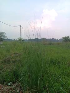 Image of 1440 Sq.ft Residential Plot / Land for sale in Fresco Fountain City Plots, Sankharipota, Raypur for Rs. 440000