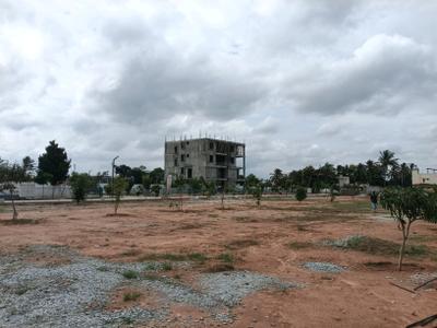 Residential Plot