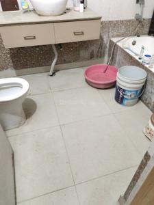 Bathroom Image of Rudra royal pg in Alpha I, Greater Noida