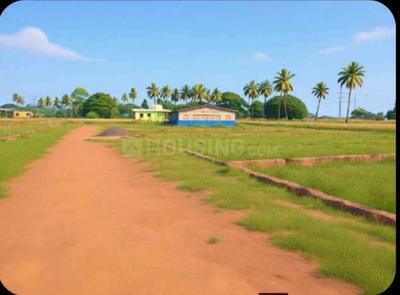 Image of 1500 Sq.ft Residential Plot / Land for sale in Bentapur, Bhubaneswar for Rs. 1875000