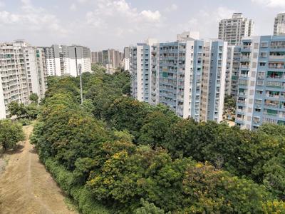 Living Room Image of 1729 Sq.ft 3 BHK Apartment / Flat for sale in Godrej Garden City, Jagatpur Ahmedabad for Rs. 10400000