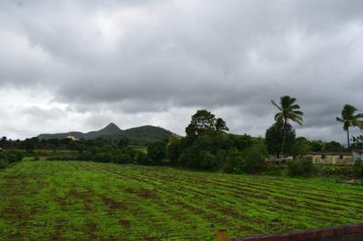 Image of 10780 Sq.ft Residential Plot / Land for sale in Dugaon, Nashik for Rs. 5551000