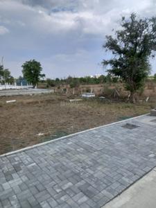 Salai More Images 3