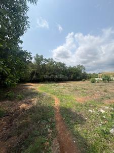 Image of 7630 Sq.ft Residential Plot / Land for sale in Ambagilu, Udupi for Rs. 10500000