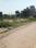 Vasant Kunj Main Image 1
