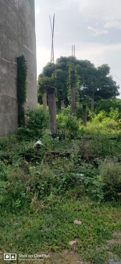 ROYAL CITY BIJNOR ROAD Main Image 1