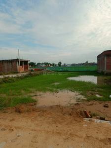 Image of 1000 Sq.ft Residential Plot / Land for sale in Papnamow, Lucknow for Rs. 2000000