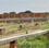 Shri city 6 Lane Township Main Image 1