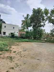 Image of 2325 Sq.ft Residential Plot / Land for sale in RS Puram, Coimbatore for Rs. 55000000