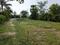 Golden city 2 Plot View 2