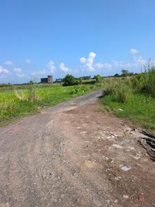 Wander Valley Internal Roads 2