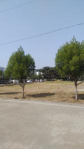 Image of 1000 Sq.ft Residential Plot / Land for sale in Bhilai Marshalling Yard, Charoda for Rs. 1600000
