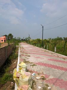 Image of 1440 Sq.ft Residential Plot / Land for sale in Nest Valley, Joka, Kolkata for Rs. 340000