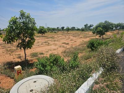 Image of 3600 Sq.ft Residential Plot / Land for sale in Harichandana Mayfair Villas, Shadnagar, Ranga Reddy for Rs. 8000000