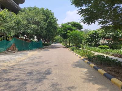 DLF Alameda Internal Roads 3