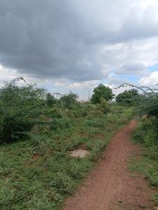 Image of 1000 Sq.ft Residential Plot / Land for sale in Maharajpura, Gwalior for Rs. 2100000