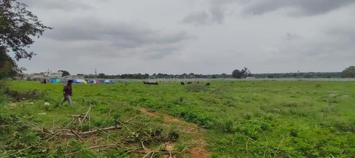 Amangal Main Image 1