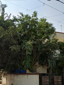 Image of 807 Sq.ft 2 BHK Independent House for sale in Dharam Nagar, Rajkot for Rs. 4500000