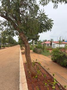 Image of 3600 Sq.ft Residential Plot / Land for sale in Embassy Springs, Devanahalli, Bengaluru for Rs. 50400000
