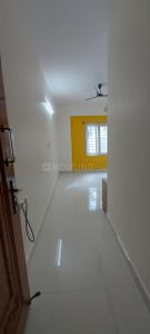 Hall Image of 725 Sq.ft 1 BHK Builder Floor for rent in Mahadevapura Bengaluru for Rs. 25000