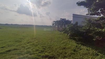 Image of 1200 Sq.ft Residential Plot / Land for sale in Pandav Nagar, Bhubaneswar for Rs. 4200000