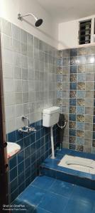 Bathroom Image of 1120 Sq.ft 3 BHK Apartment / Flat for rent in Spring Valley Dew Villas, Rapadia Village Bhopal for Rs. 14000