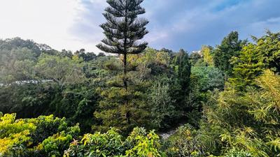 Image of 3000 Sq.ft 4 BHK Villa for rent in Dalanwala, Dehradun for Rs. 95000