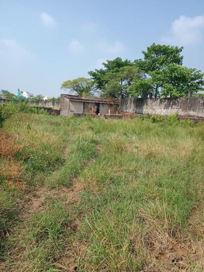 Jharapada Main Image 1