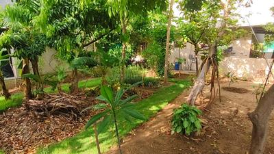 Image of 7616 Sq.ft Residential Plot / Land for sale in Saiyed Vasna, Vadodara for Rs. 45700000