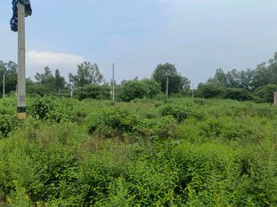 Image of 64 Sq.ft Residential Plot / Land for sale in Sector 36 Rohini, New Delhi for Rs. 13500000