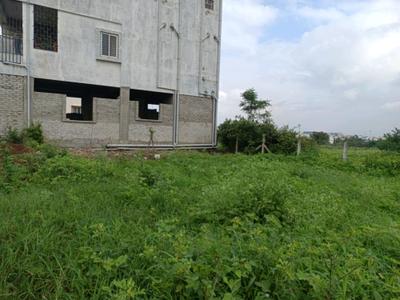Shewalewadi Plot View 2