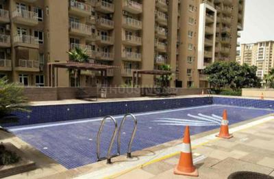 Image of 1850 Sq.ft 3 BHK Apartment / Flat for sale in Emaar Palm Gardens, Sector 84, Gurgaon for Rs. 22000000