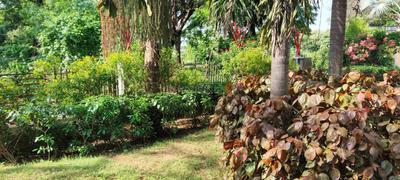 Image of 2000 Sq.ft 3 BHK Villa for sale in Jitodia, Anand for Rs. 8200000