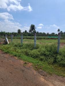 Image of 10018 Sq.ft Residential Plot / Land for sale in Palathurai, Coimbatore for Rs. 6500000