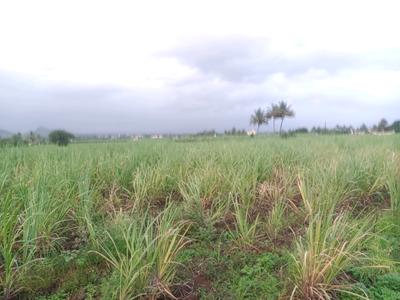 Image of 1089 Sq.ft Residential Plot / Land for sale in Belondakhar, Navi Mumbai for Rs. 850000