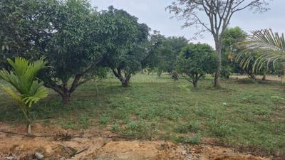 Image of 6000 Sq.ft Residential Plot / Land for sale in Hosur, Tumkur for Rs. 2994000