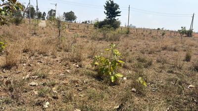 Image of 2400 Sq.ft Residential Plot / Land for sale in Hanchya, Mysore for Rs. 5500000