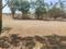 Sandor, Vasai West Main Image 1