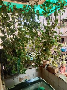 Balcony Image of 1035 Sq.ft 2 BHK Apartment / Flat for sale in Vasna Ahmedabad for Rs. 5800000