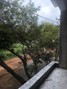 Bedroom Five Image of 3150 Sq.ft 5 BHK Apartment / Flat for sale in Konanakunte Bengaluru for Rs. 29000040