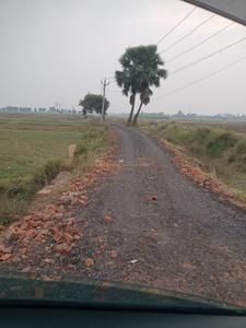 Image of 800 Sq.ft Residential Plot / Land for sale in Bihta, Patna for Rs. 559000