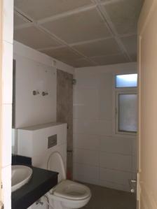 Common Bathroom Image of 1850 Sq.ft 3 BHK Apartment / Flat for rent in Mahindra Aura, Sector 110A Gurgaon for Rs. 43000