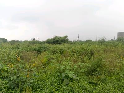 Image of 60 Sq.ft Residential Plot / Land for sale in Sector 35 Rohini, New Delhi for Rs. 11500000