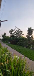 Image of 1250 Sq.ft 3 BHK Villa for sale in Marasandiram, Hosur for Rs. 8400000