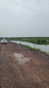 Image of 50 Sq.ft Residential Plot / Land for sale in Silani, Gurgaon for Rs. 750000