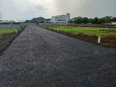 Plot View