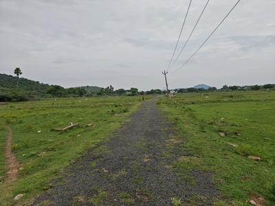 Residential Plot