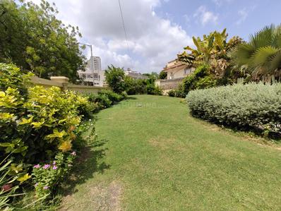 Green Field Plot View 3