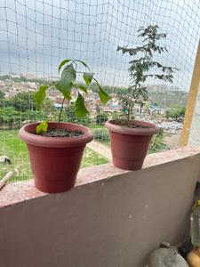 Image of 405 Sq.ft 1 RK Apartment / Flat for sale in Narolgam, Ahmedabad for Rs. 900000